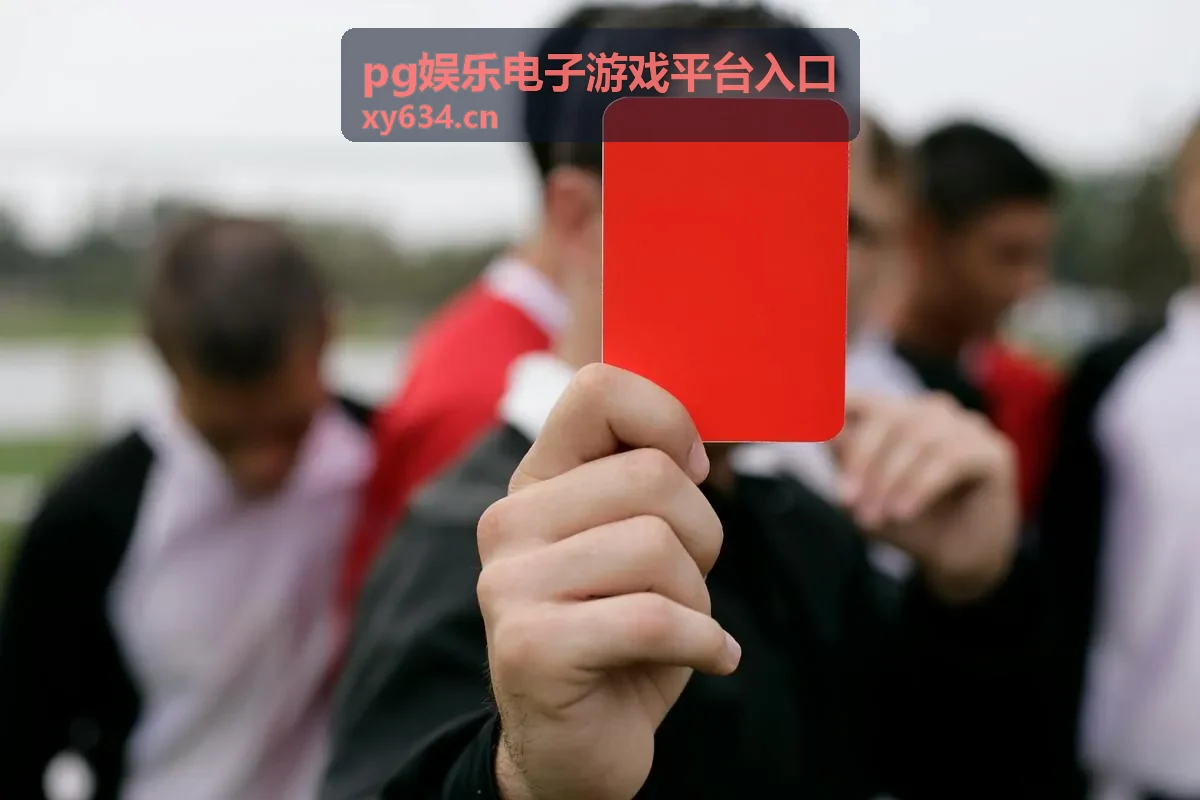 pg娱乐电子游戏平台入口机型分类标签封面